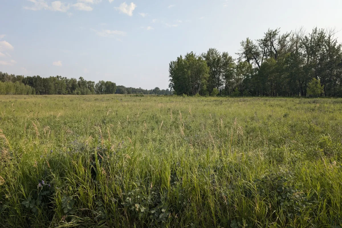 Glennfield - Fish Creek Provincial Park photo 1