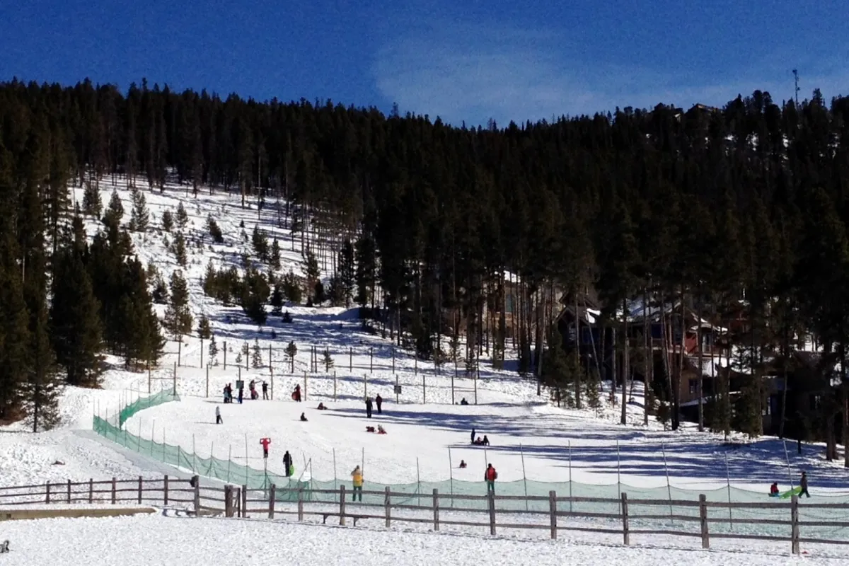 Carter Park and Pavilion photo 1