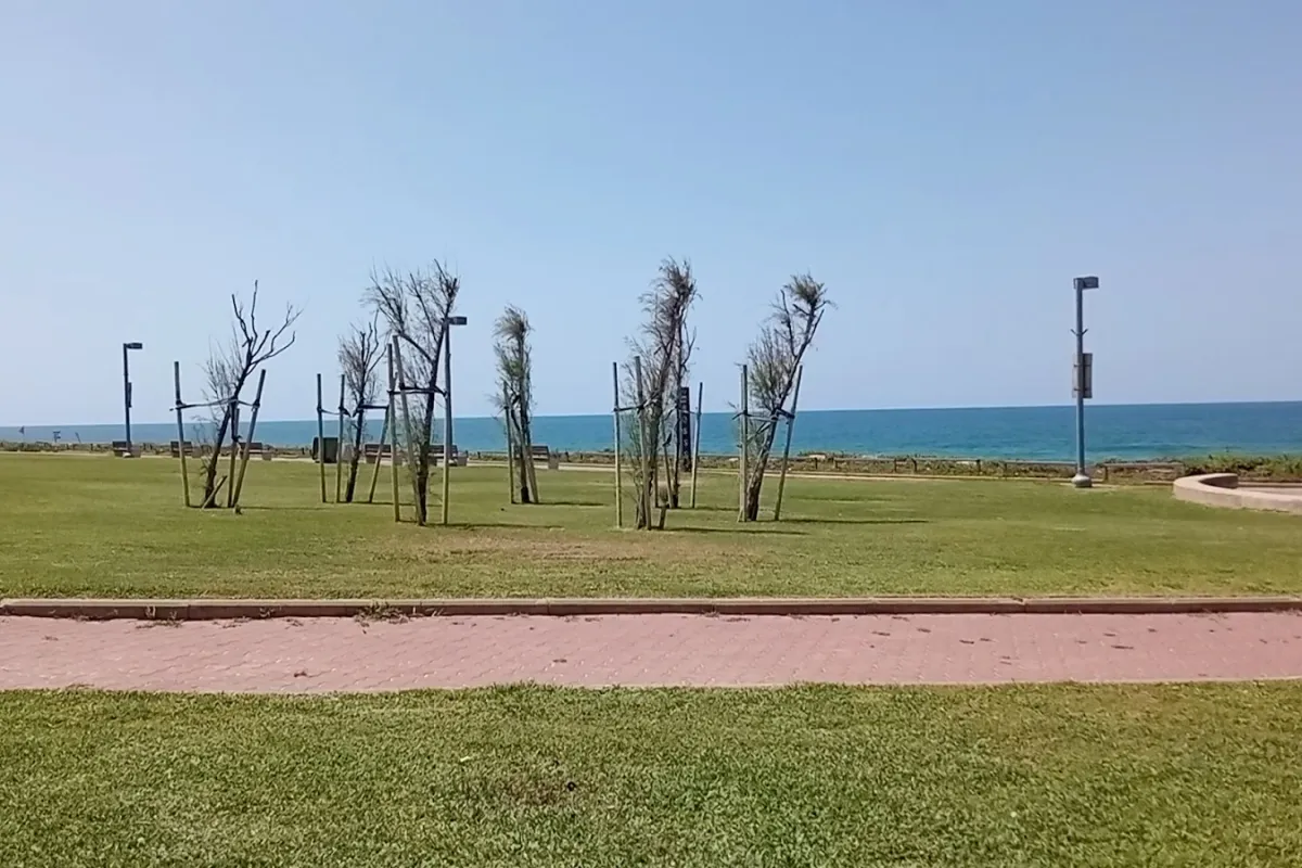HaTzuk Beach South photo 1