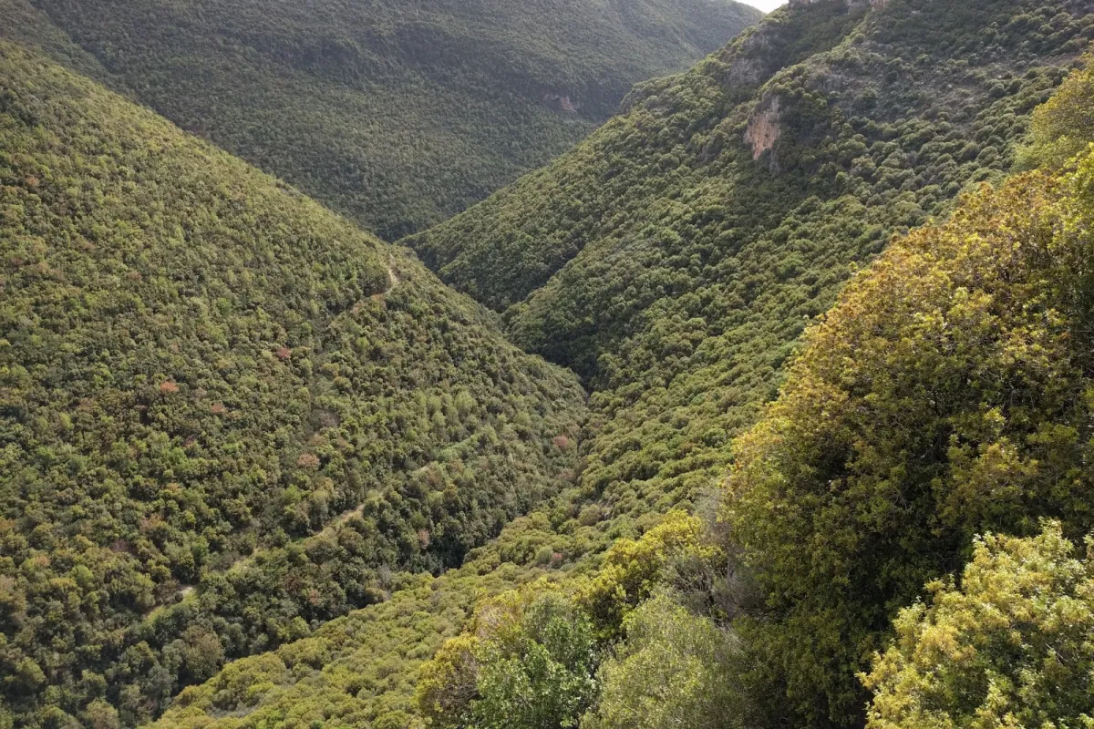Bentael Nature Reserve photo 1