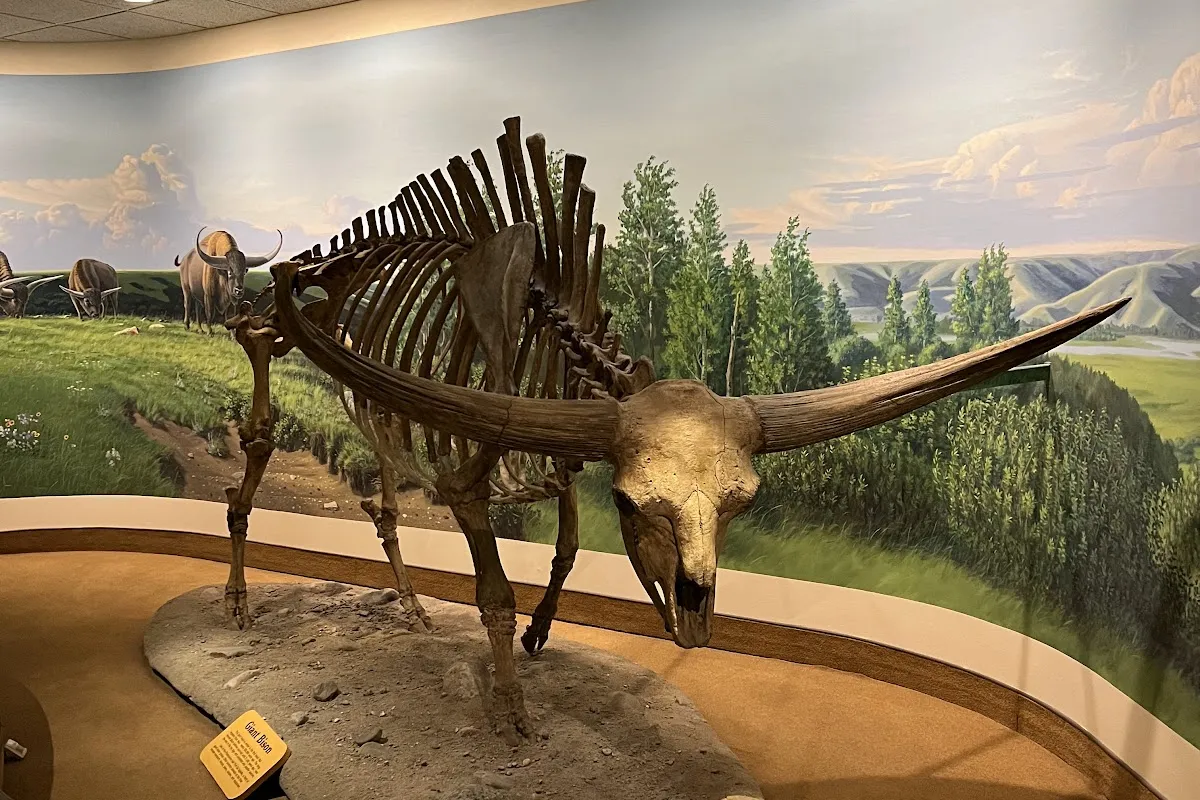 Royal Saskatchewan Museum photo 1