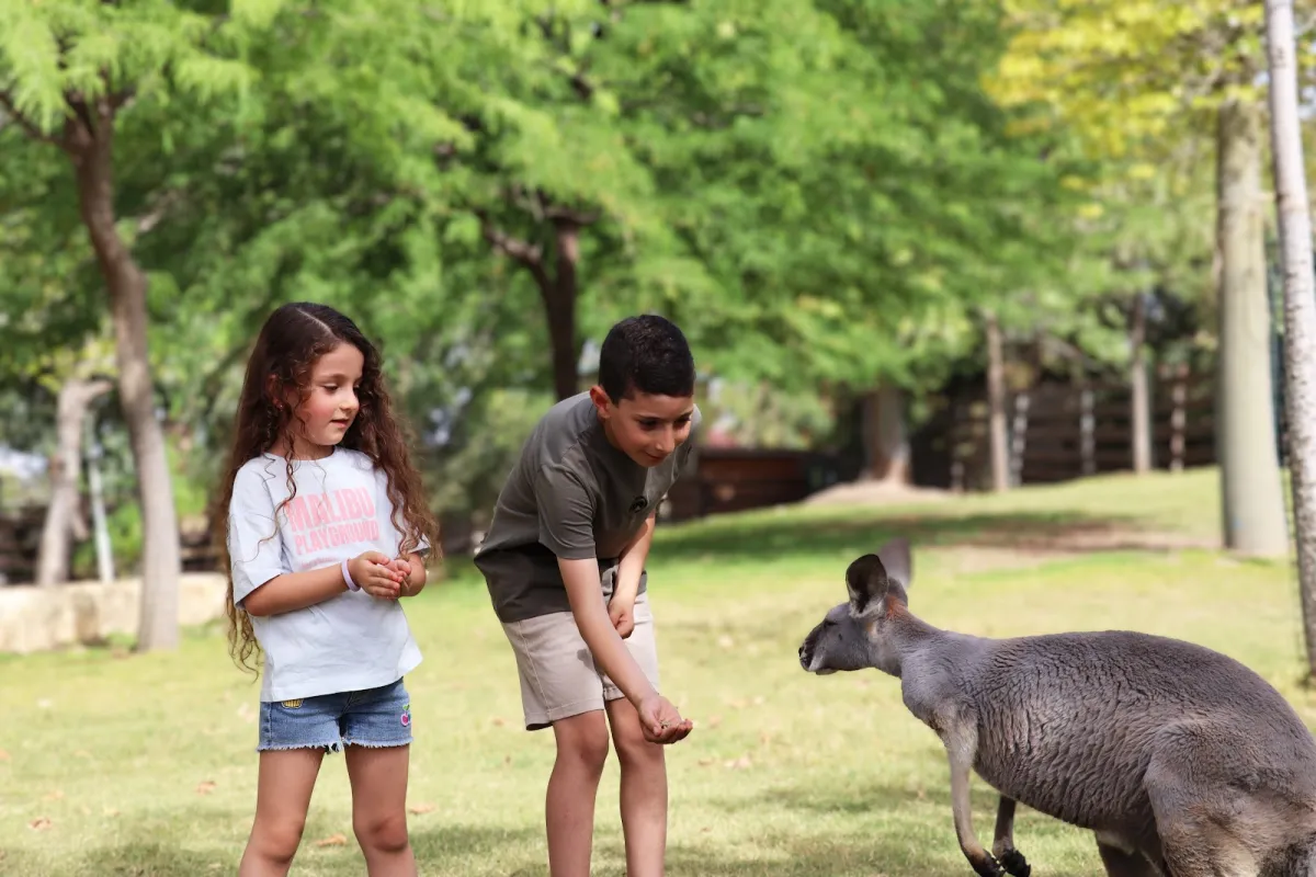 Gan Garoo Zoo photo 1