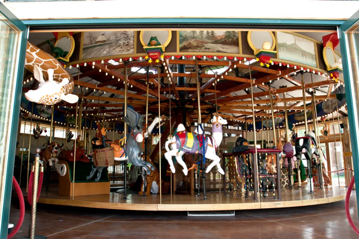Carousel of Happiness photo 1