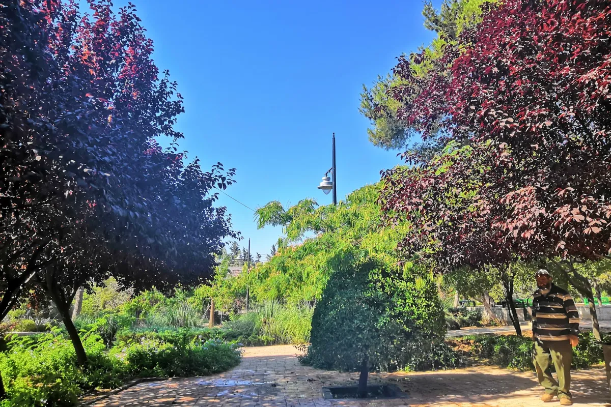 Zahran Park photo 1