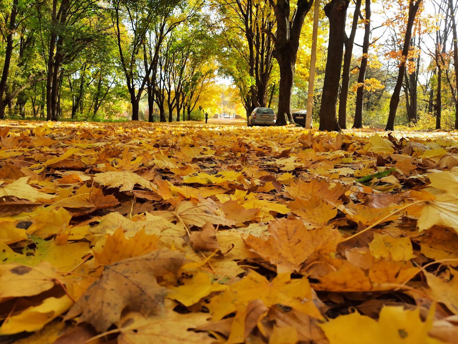 Zhuravlivsʹkyy Hidropark photo 10