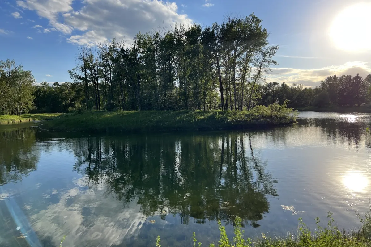 Carburn Park photo 1
