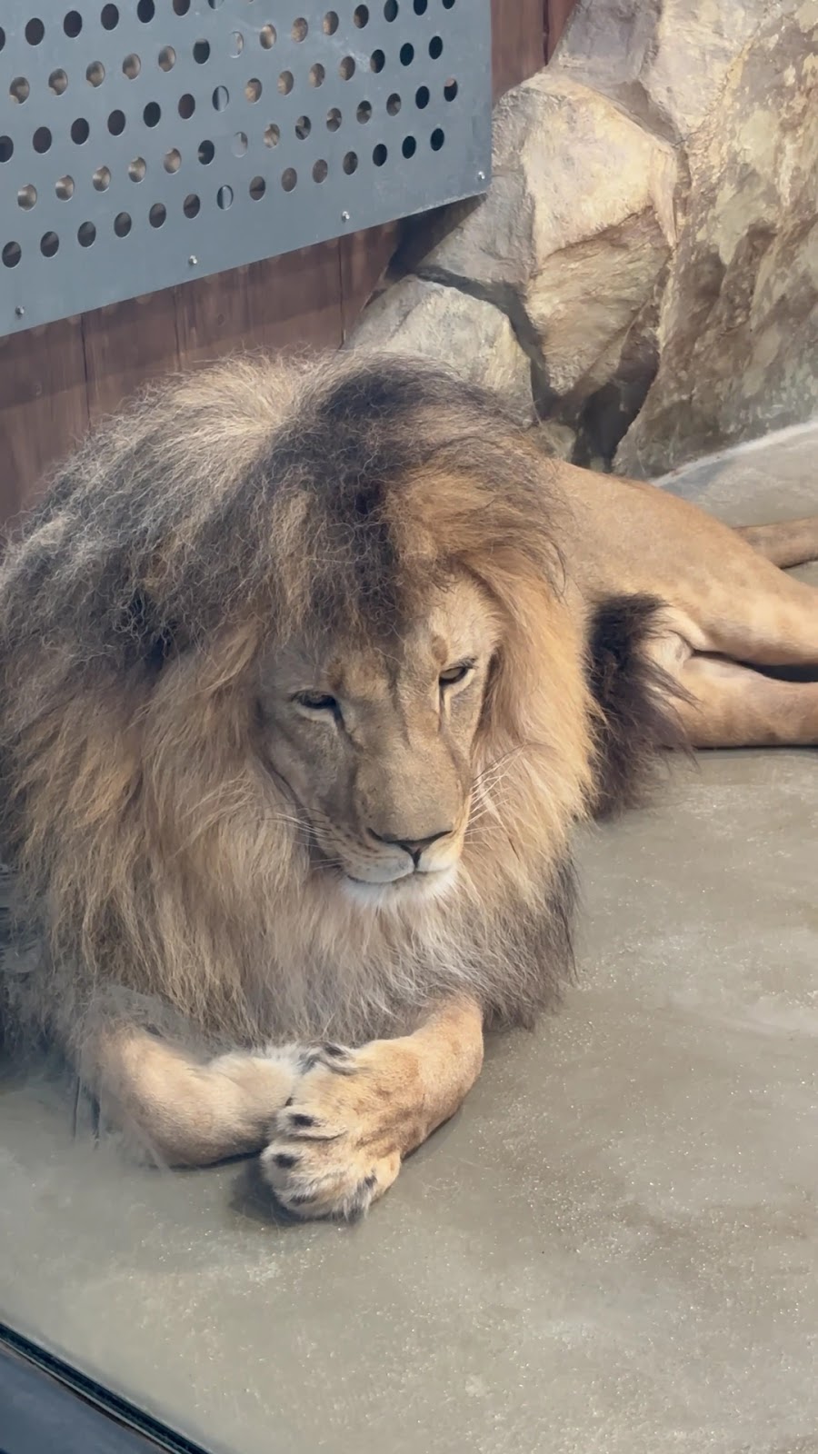 Kharkiv Zoo photo 5