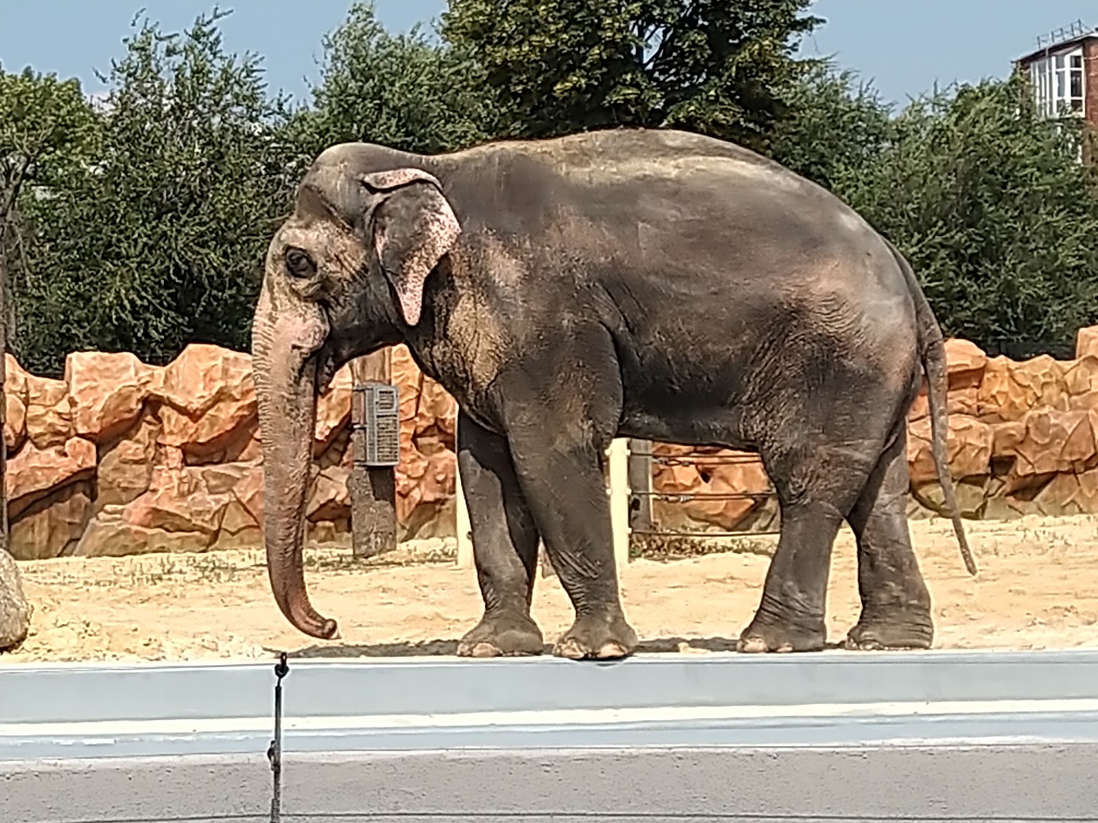 Kharkiv Zoo photo 2