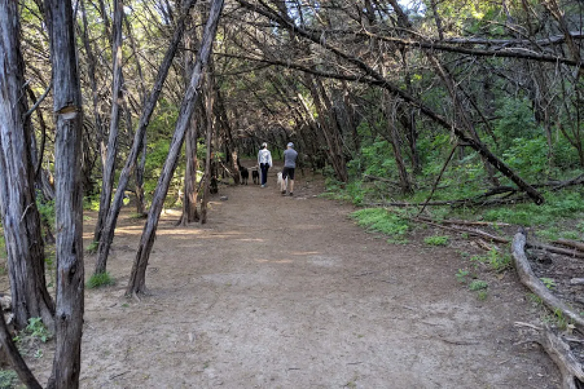 Turkey Creek Trailhead photo 1