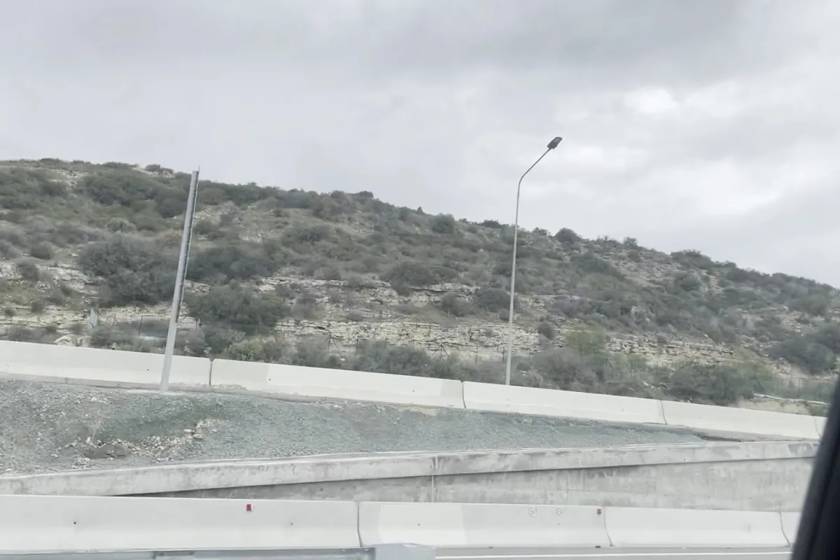 Limassol National Forest Park photo 1