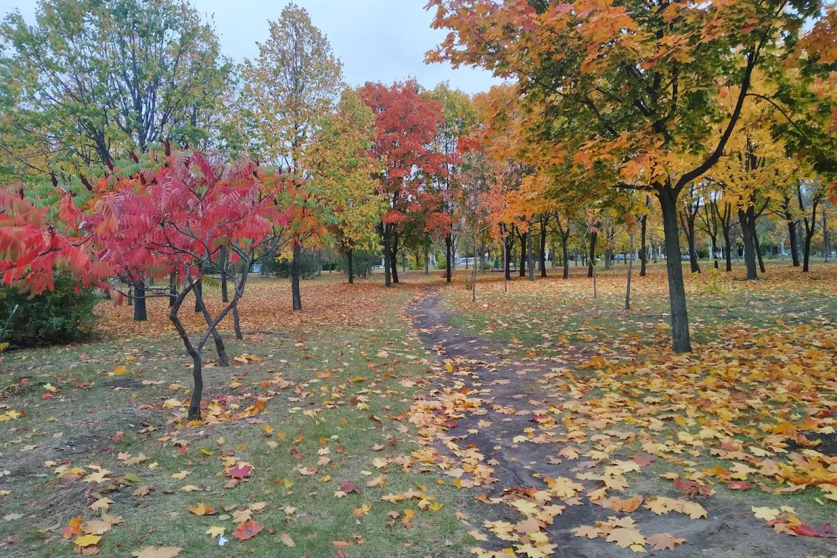 Park Pokolinʹ photo 1