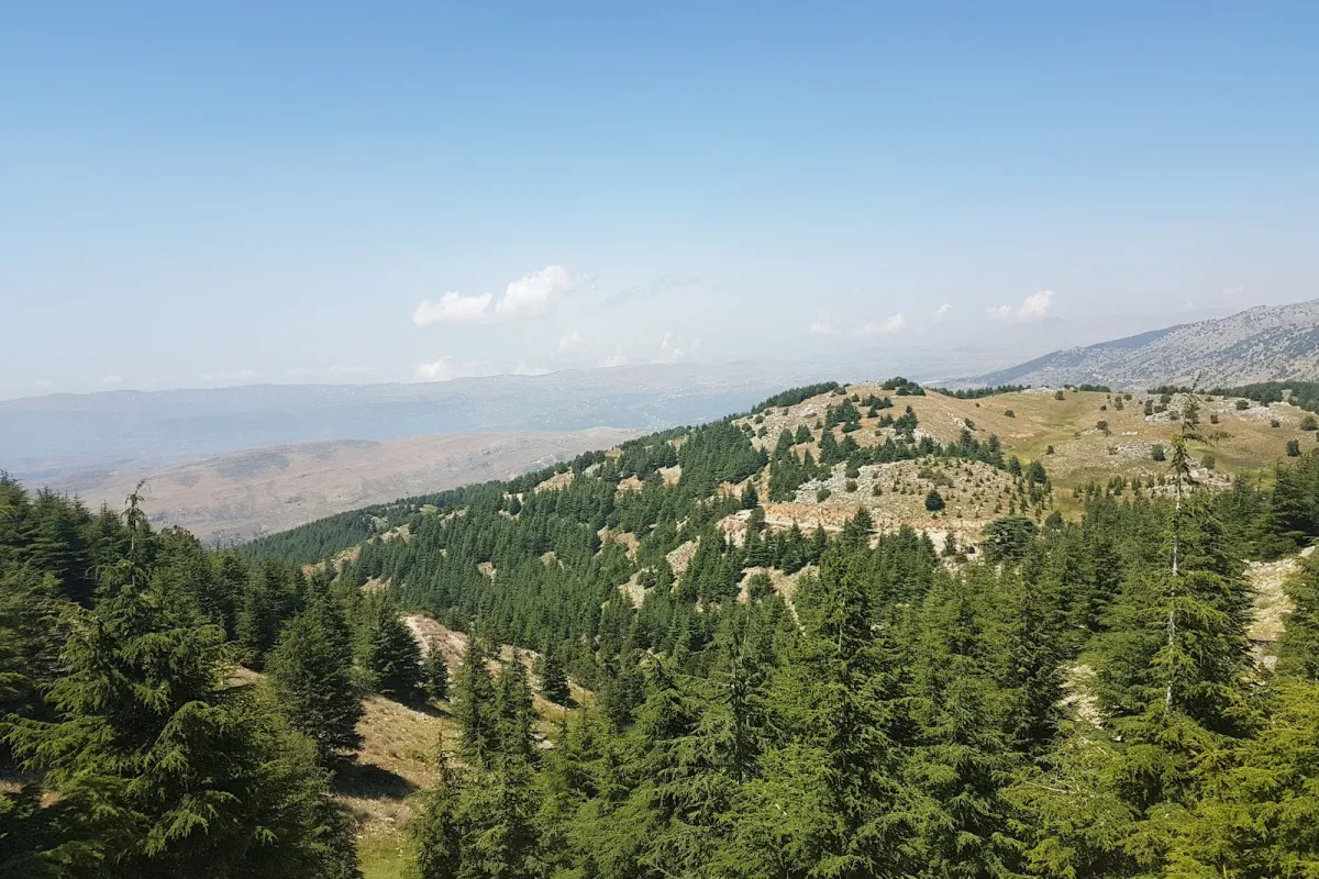 Shouf biosphere reserve/ Entrance to the Barouk Cedar forest photo 1