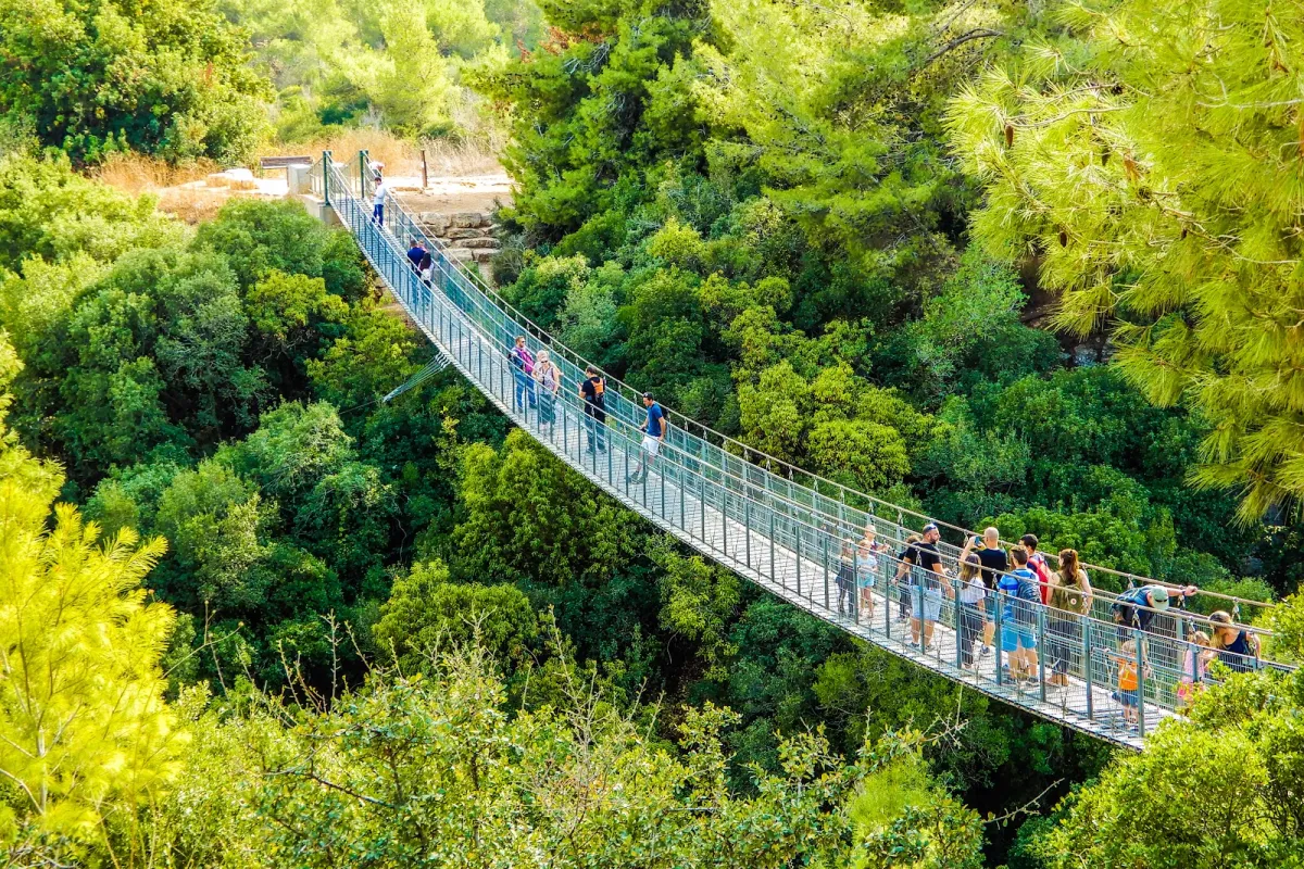Nesher Park photo 1