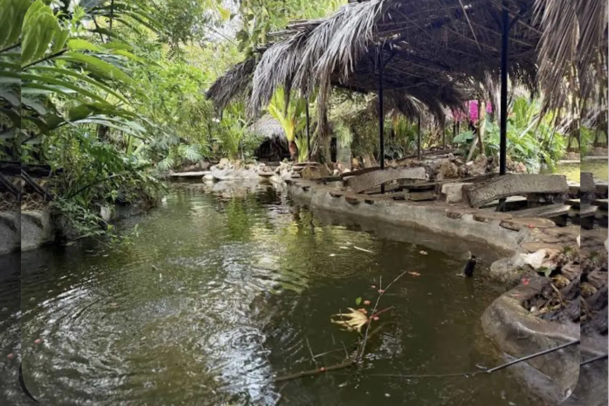 Tropical Cave photo 1
