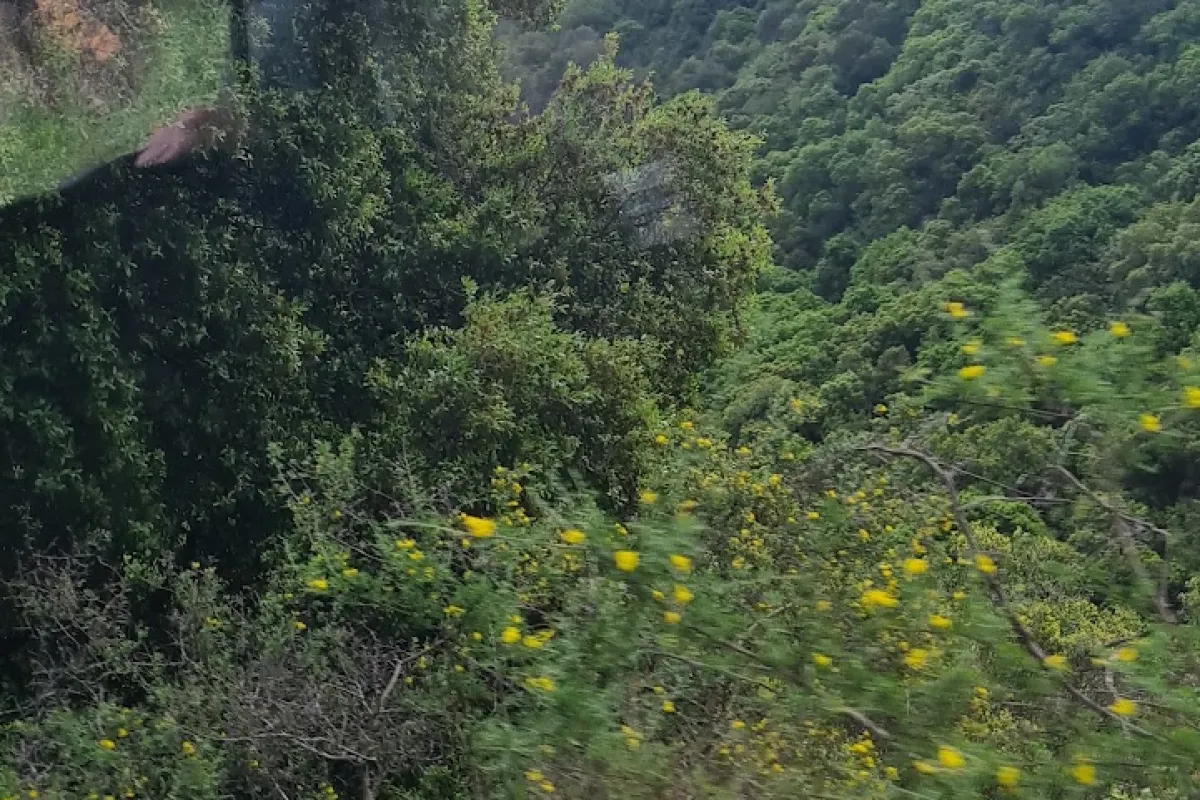 מקום חנייה לנחל כזיב photo 1