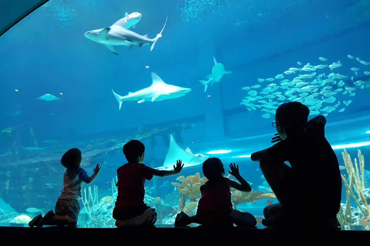 Texas State Aquarium photo 1