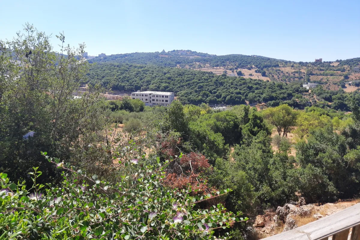 Ajloun Tourist Park photo 1