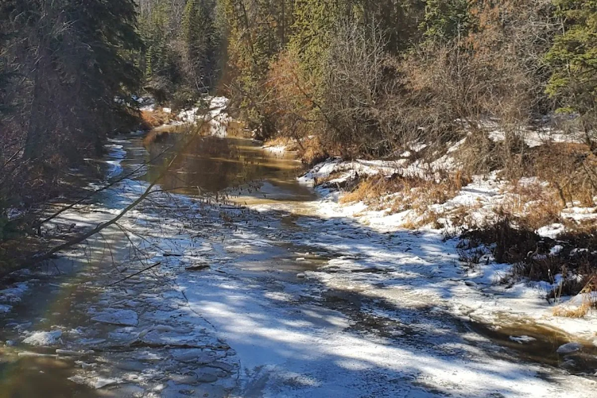 Whitemud Park photo 1