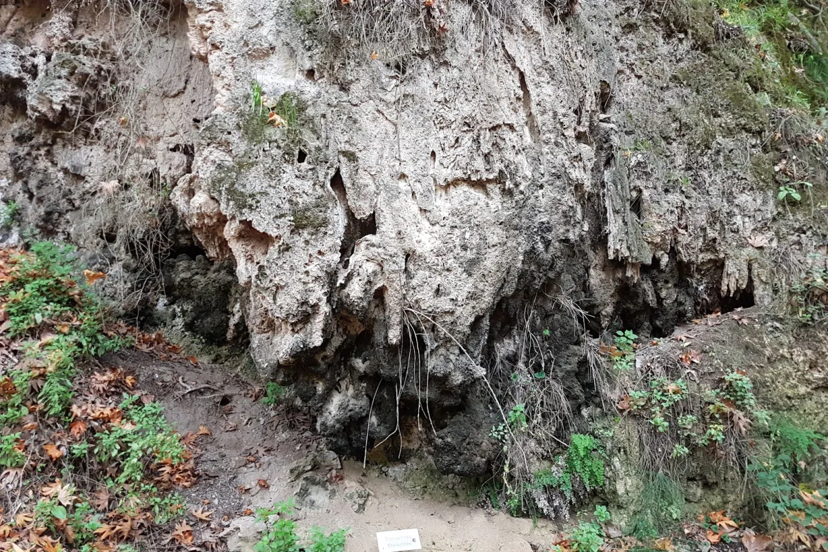 Anerades Natural Trail photo 1