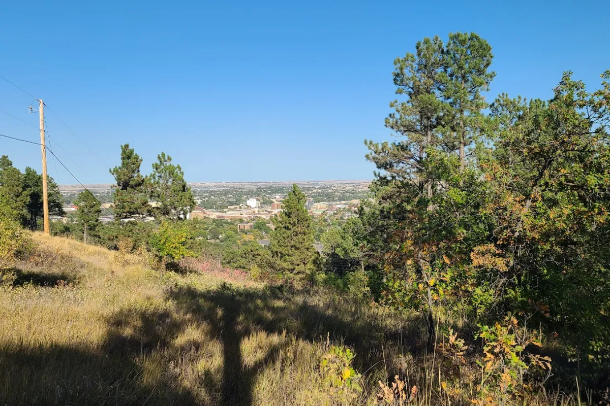 Petrified Forest Trailhead photo 1