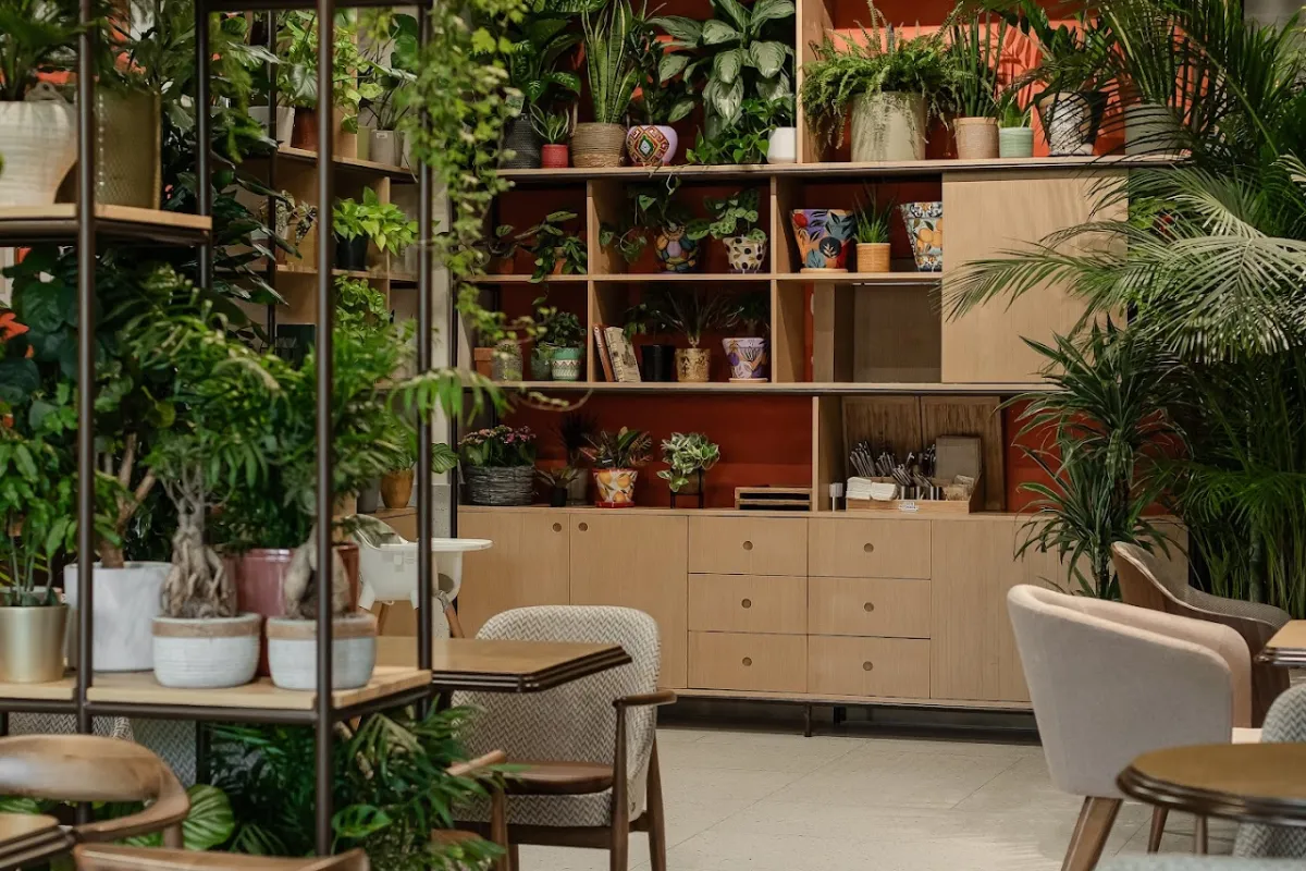 Cafe Botanist - Caspian Plaza photo 1