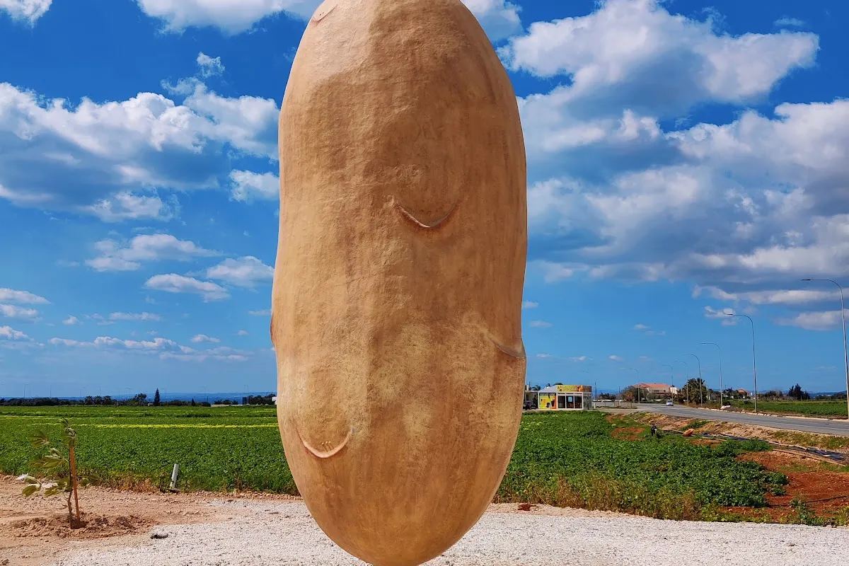 The Big Potato photo 1