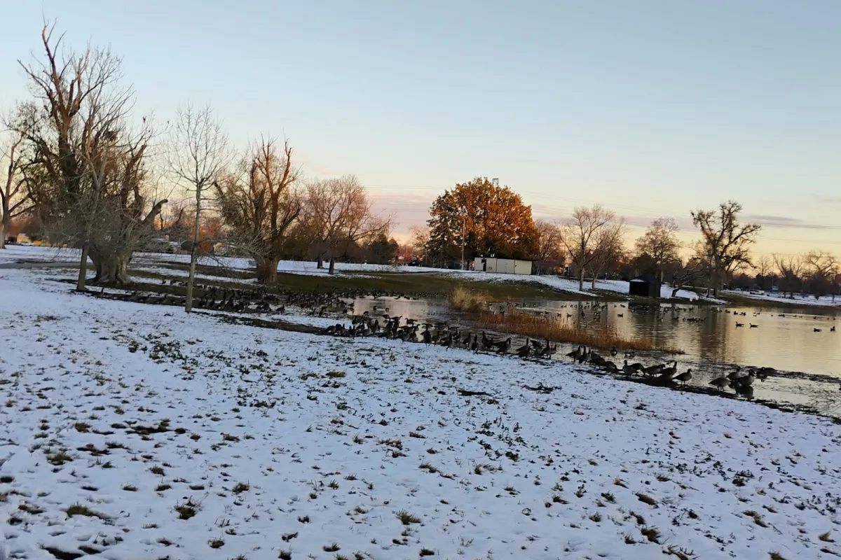 Frances Weisbart Jacobs Park photo 1