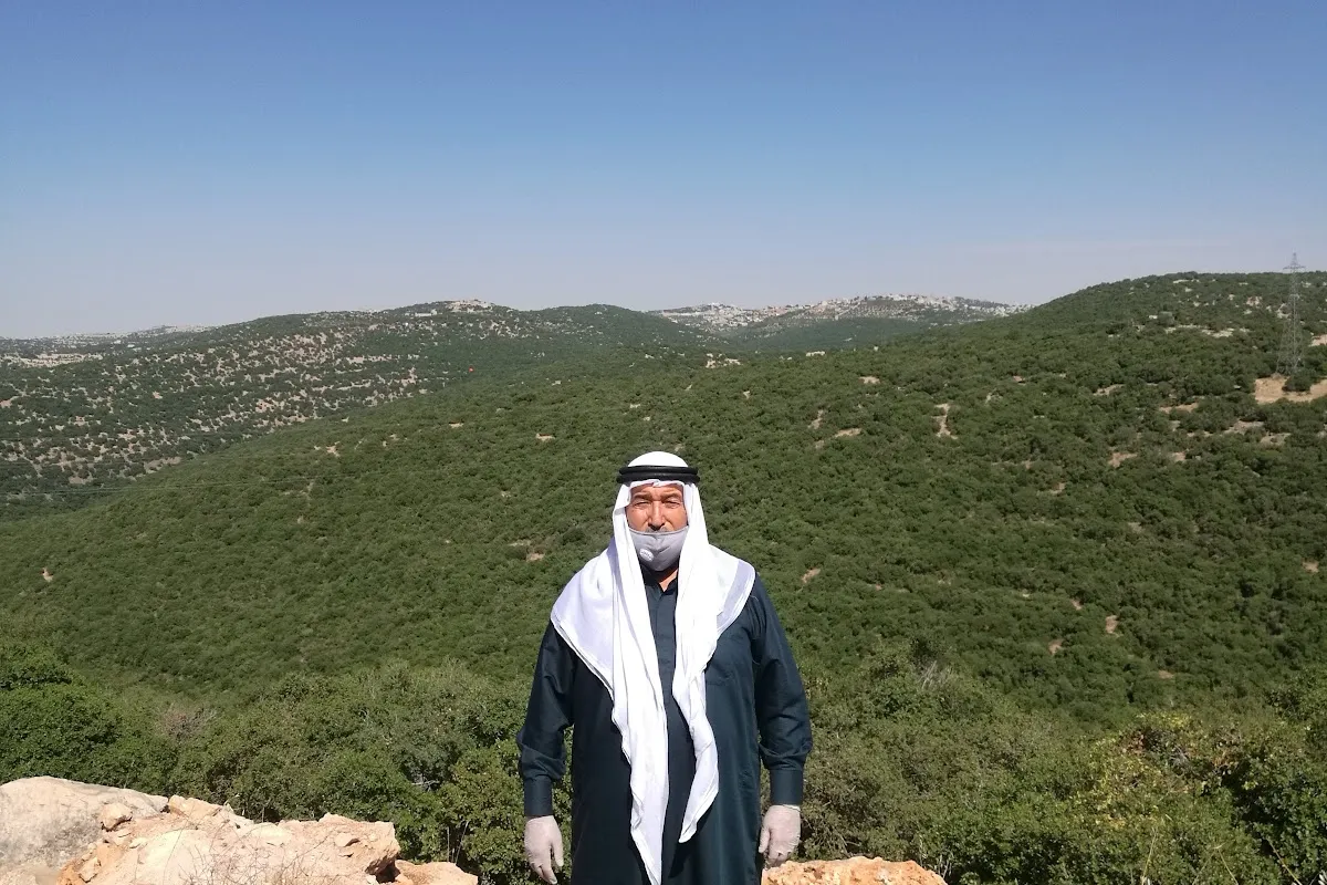 غابات برقش photo 1