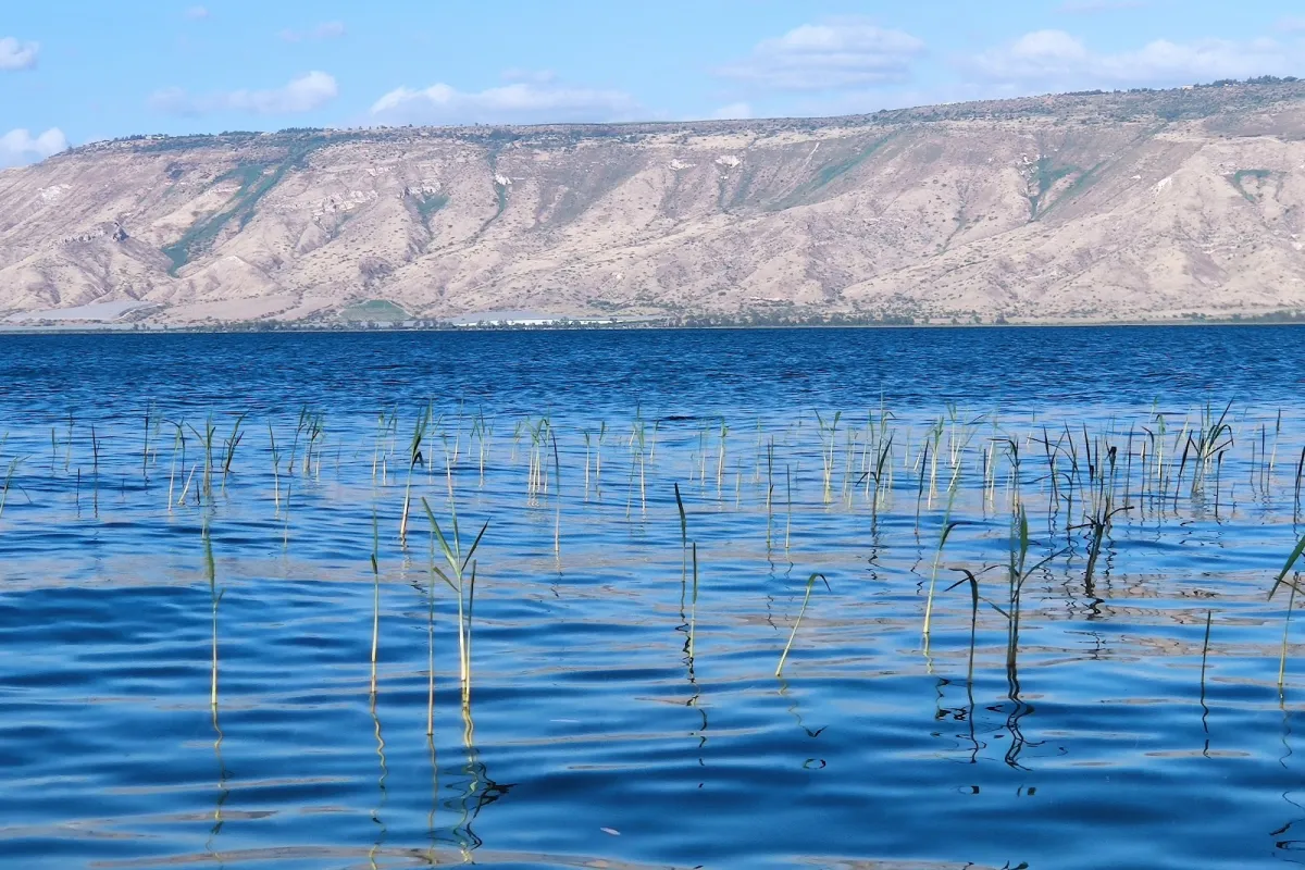 חוף רחצה כינרת photo 1