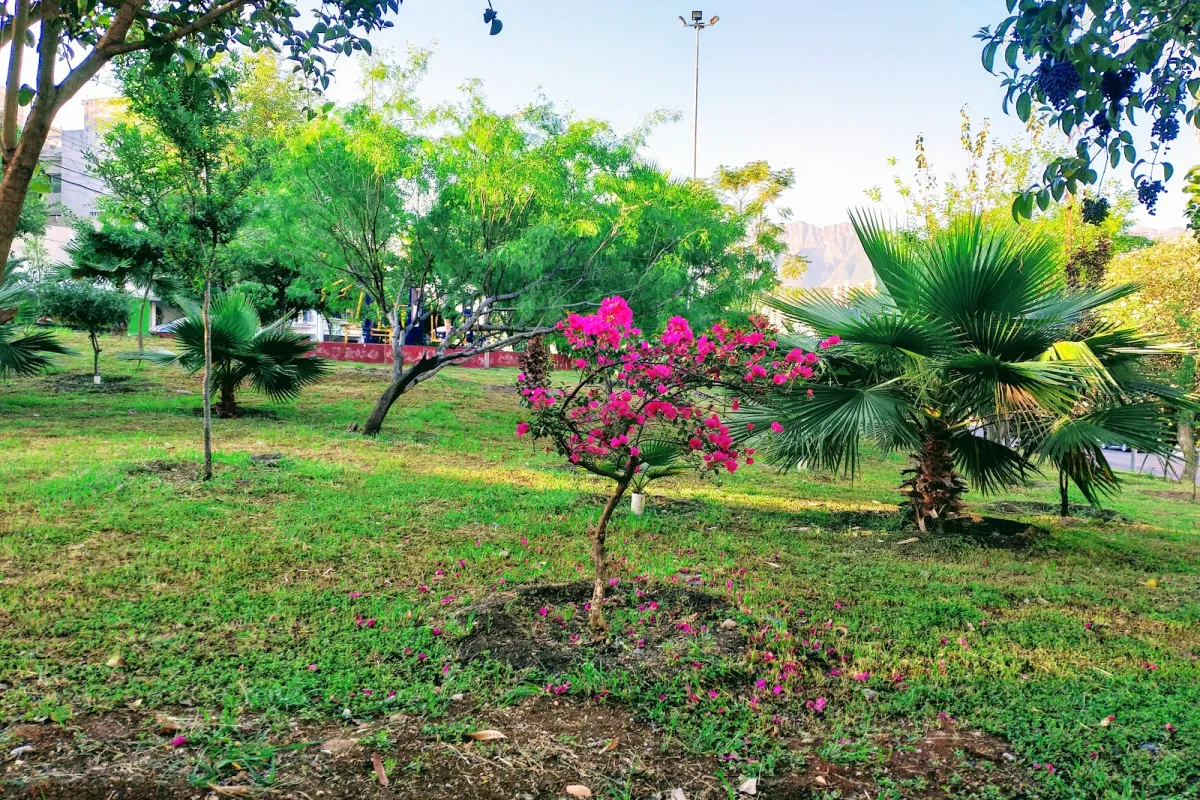 San Jerónimo Park photo 1