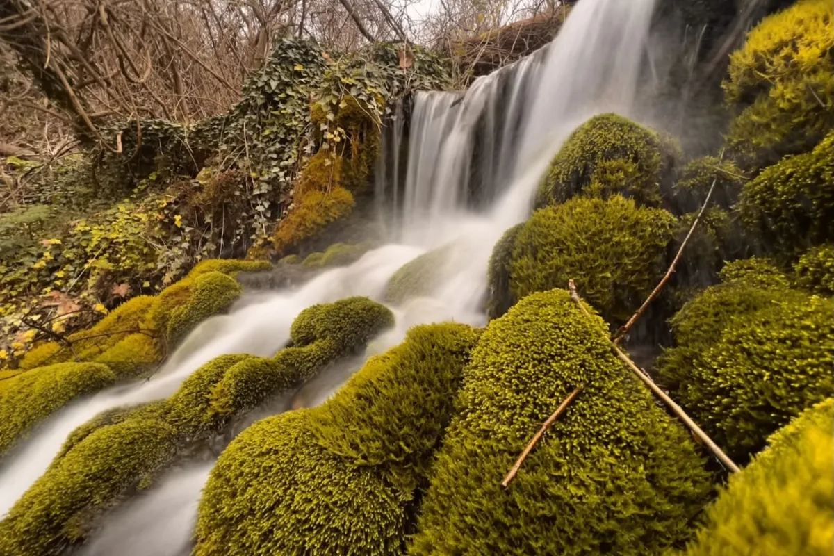 Agkistro Springs photo 1