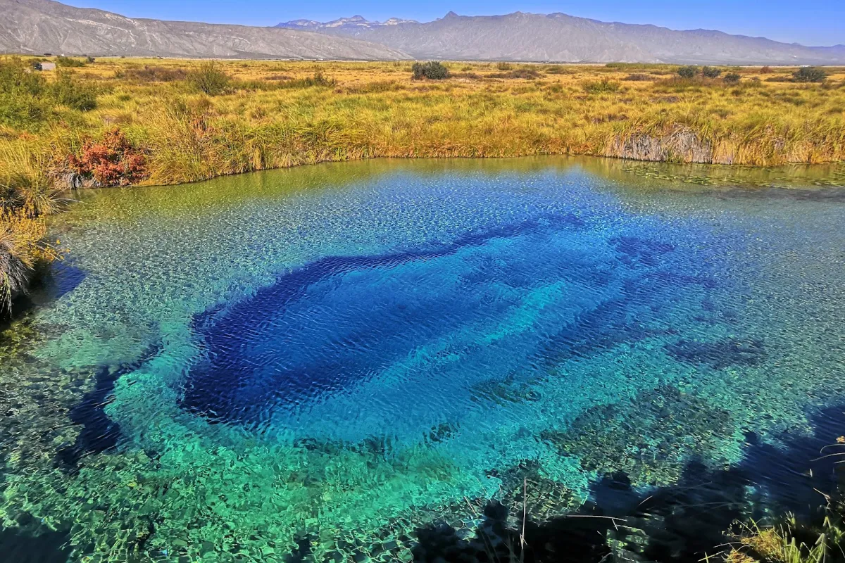Poza Azul photo 1