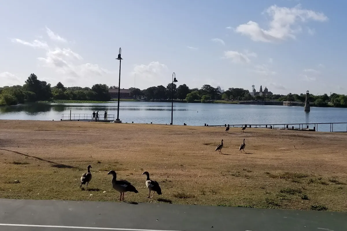 Woodlawn Lake Park photo 1