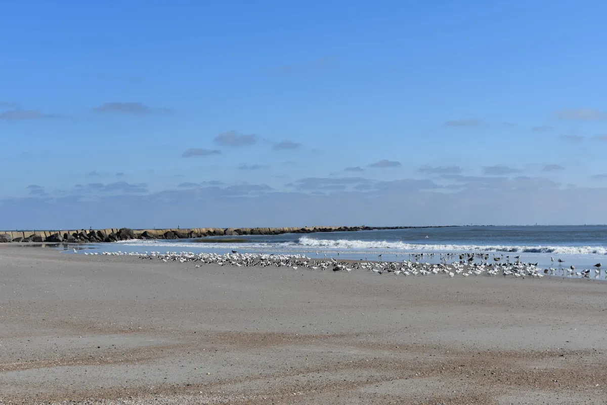 Fort Clinch State Park East Beach Access photo 1