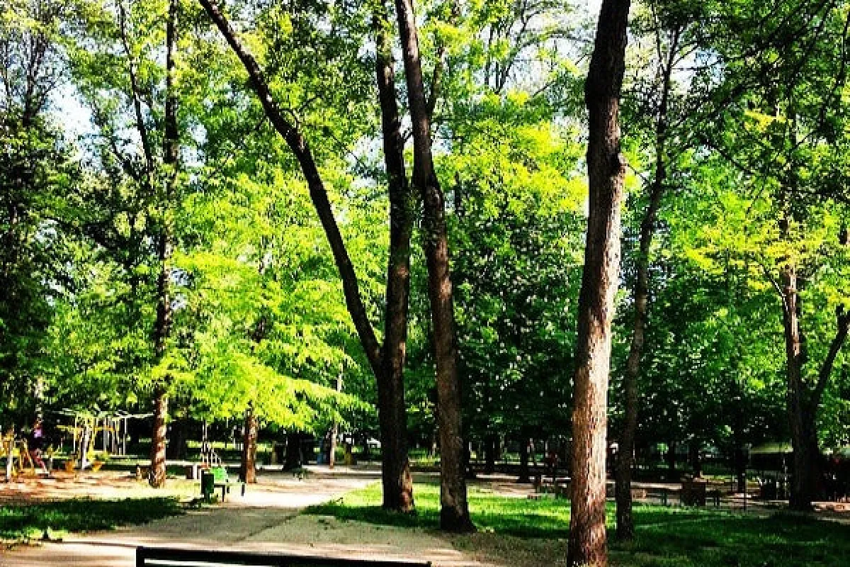 Râșcani Forest-Park photo 1