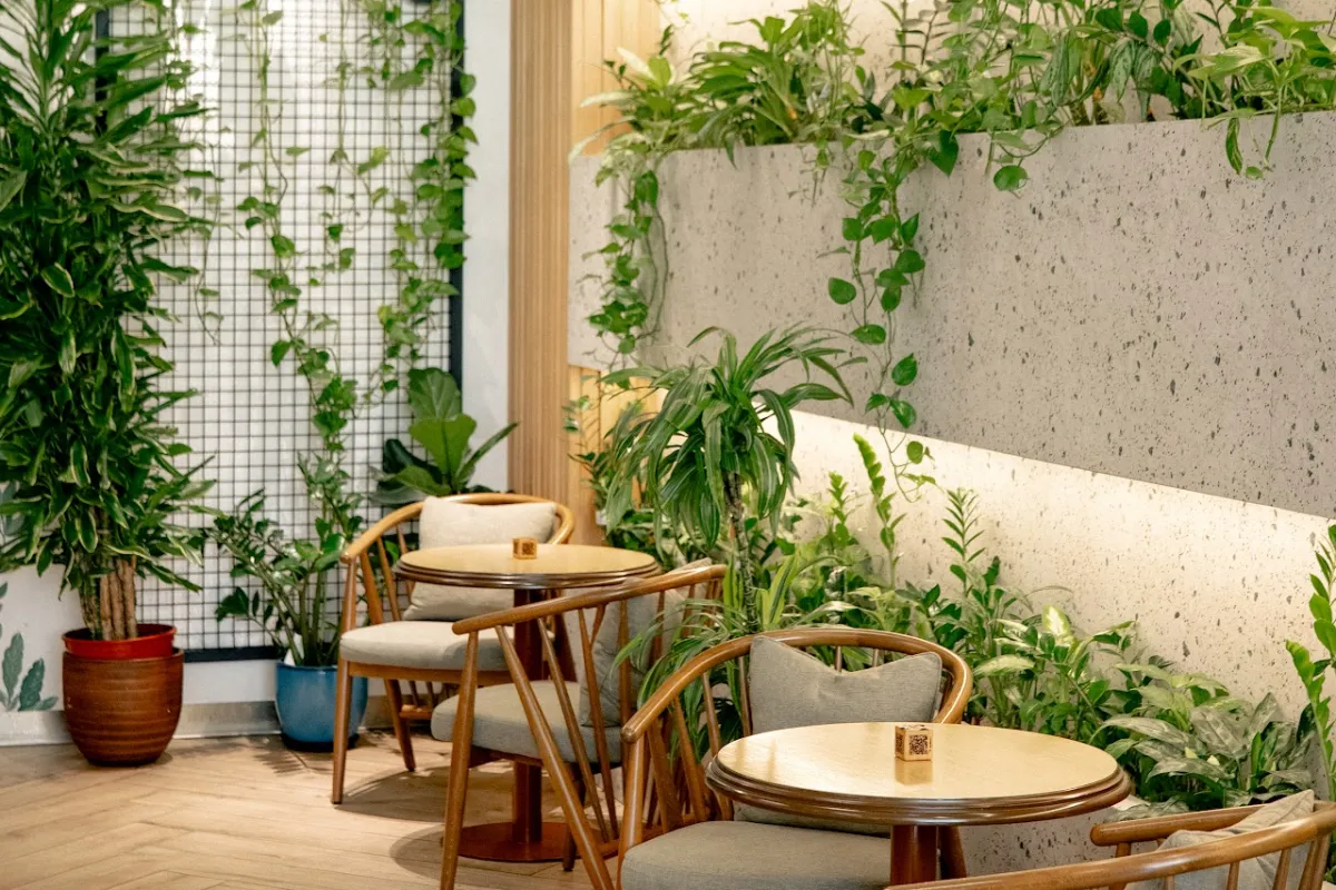 Cafe Botanist - Azadlıq photo 1
