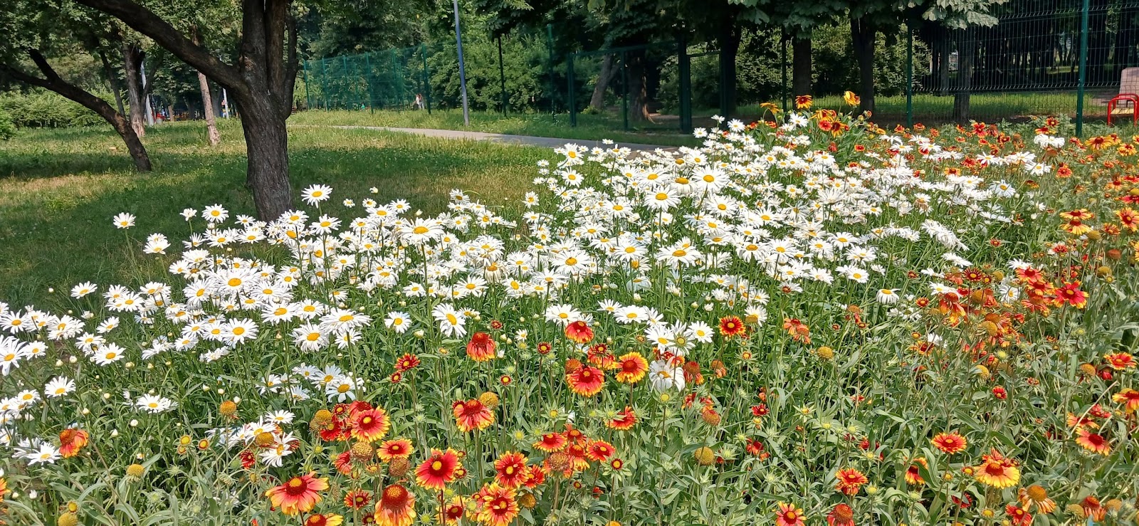 Park "Yunistʹ" photo 4