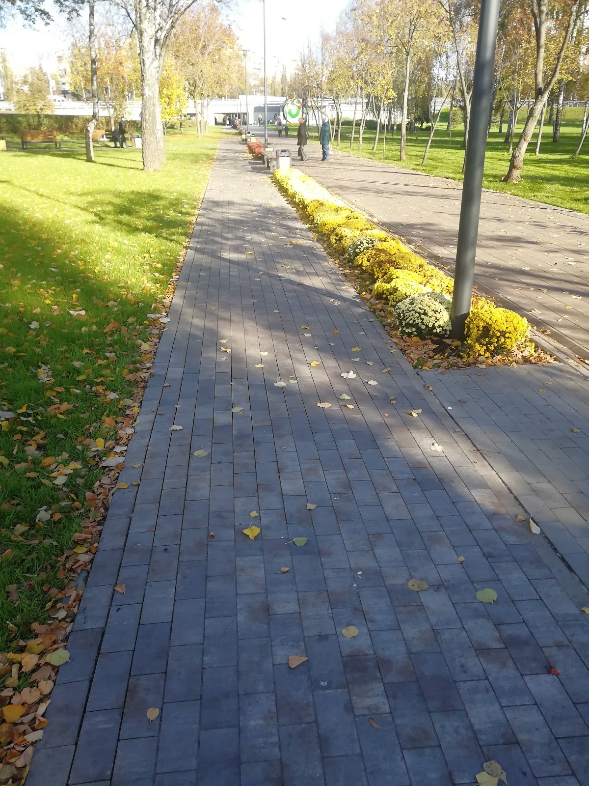 Park "Yunistʹ" photo 8