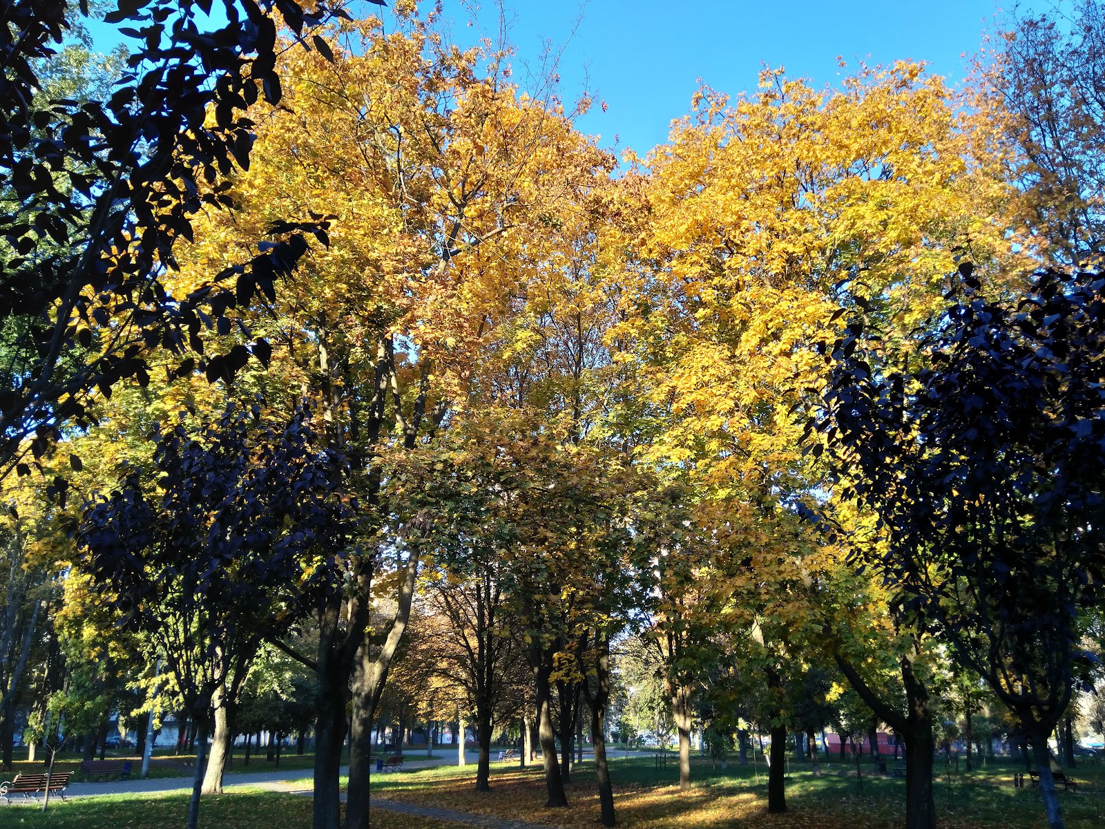 Park "Yunistʹ" photo 11