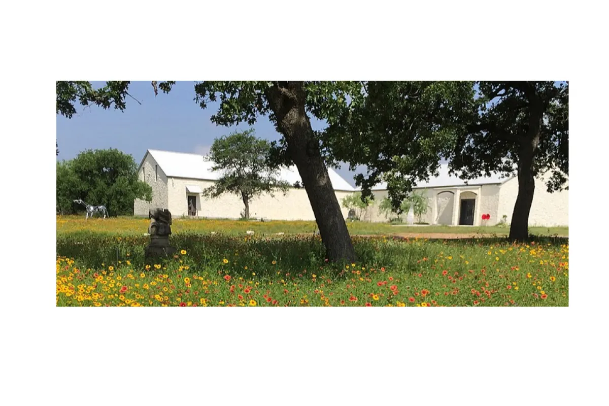 Museo Benini photo 1
