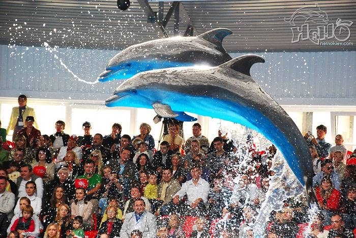 Kharkiv Dolphinarium Nemo photo 6