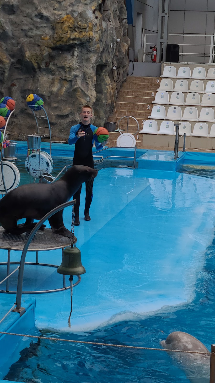 Kharkiv Dolphinarium Nemo photo 9