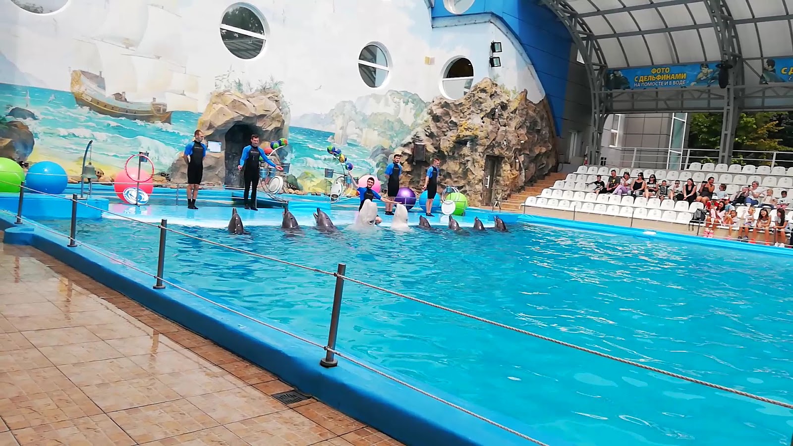 Kharkiv Dolphinarium Nemo photo 5