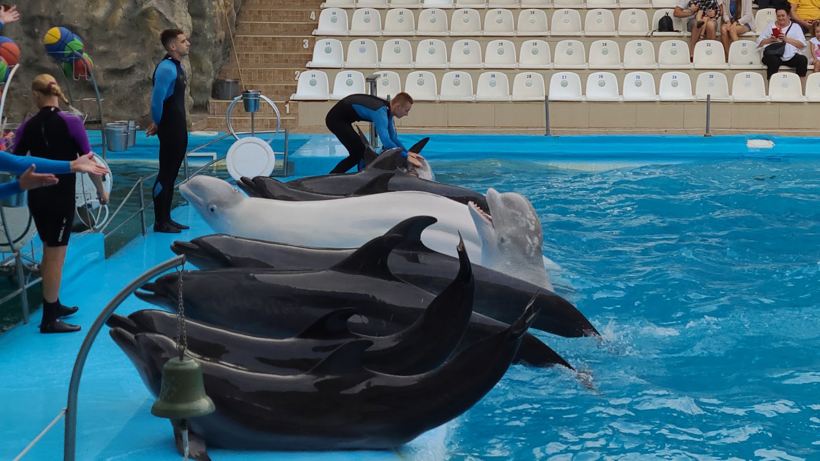 Kharkiv Dolphinarium Nemo photo 8