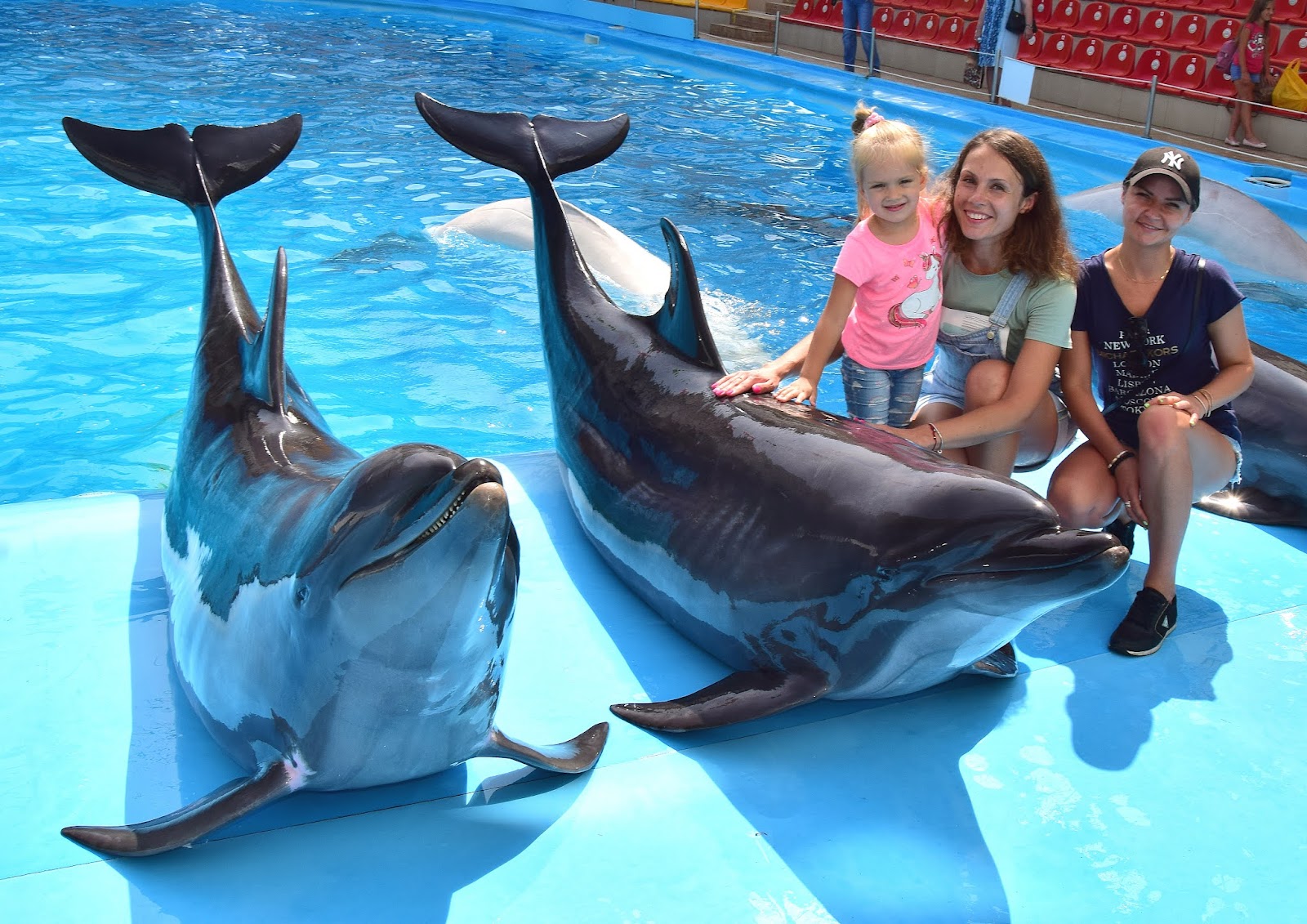 Kharkiv Dolphinarium Nemo photo 11