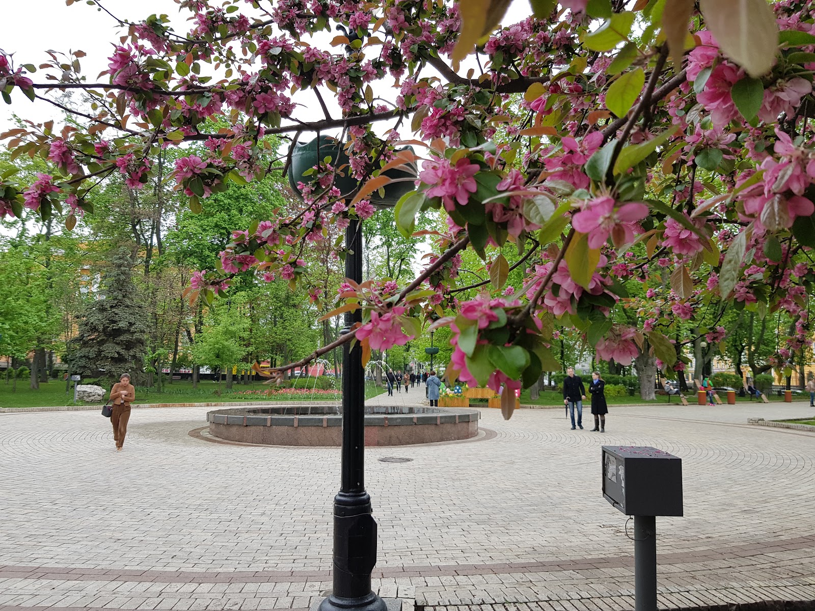 Taras Shevchenko Park photo 10