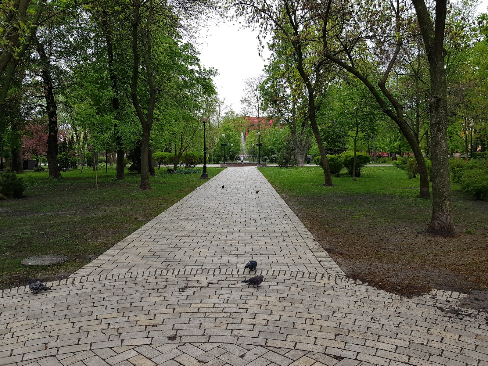 Taras Shevchenko Park photo 8