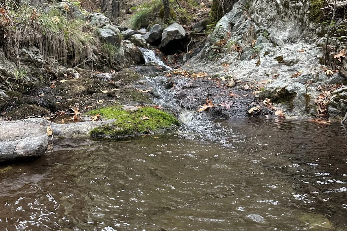 Kalidonia nature trail photo 1
