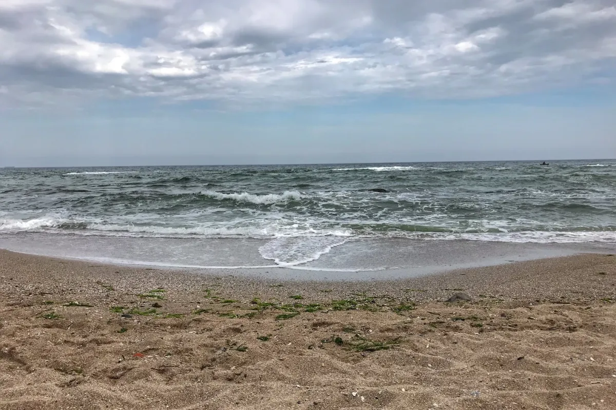 Customs Worker's Beach photo 1
