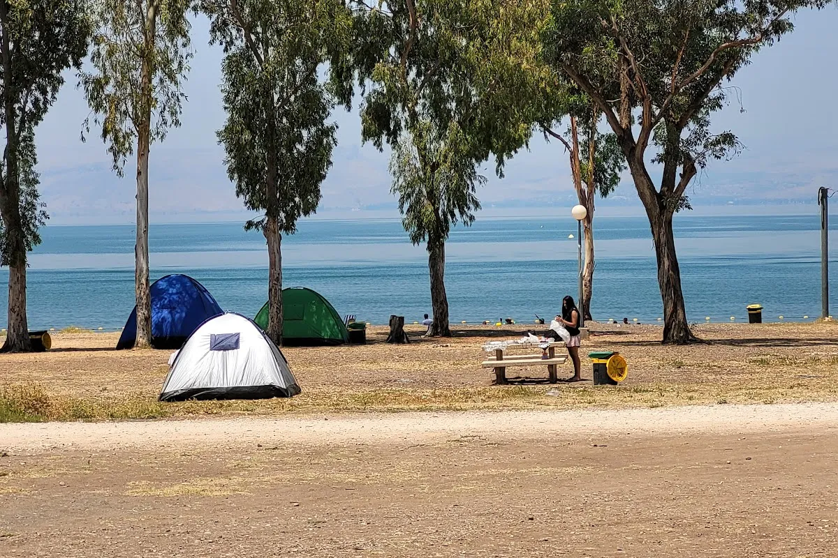 חוף צאלון photo 1